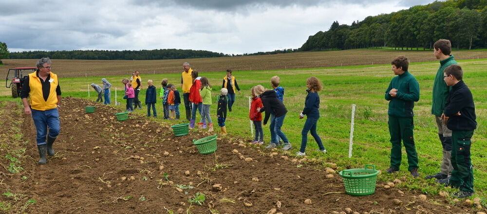 Kartoffelfest in St. Johann 2017