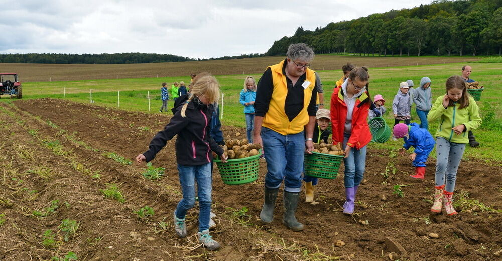 Kartoffelfest in St. Johann 2017