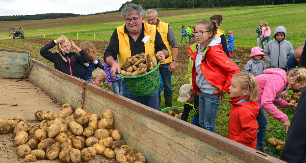Kartoffelfest in St. Johann 2017