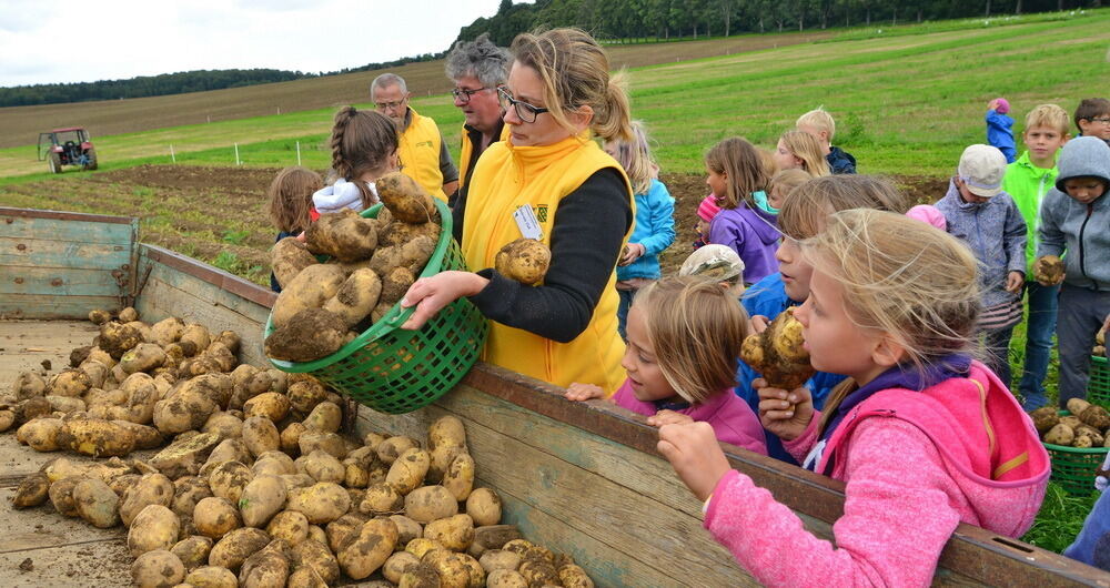 Kartoffelfest in St. Johann 2017