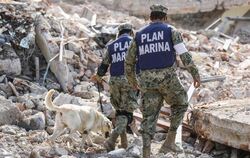 Rettungskräfte mit Spürhunden suchen in den Trümmern eines Hauses nach Verschütteten. Fotgo: El Universal Foto: El Universal