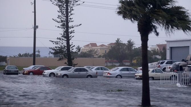 Von Wasser umgebene Fahrzeuge stehen in Naples, nachdem Hurrikan »Irma« durch die Stadt gezogen war.
