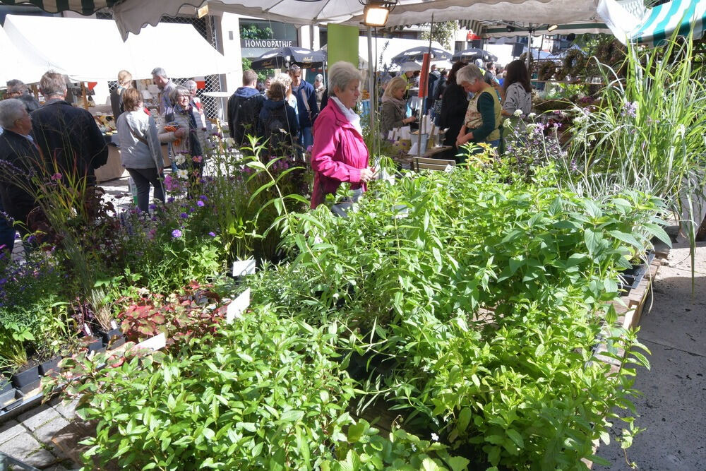 Umbrisch Provenzalischer Markt Tübingen 2017