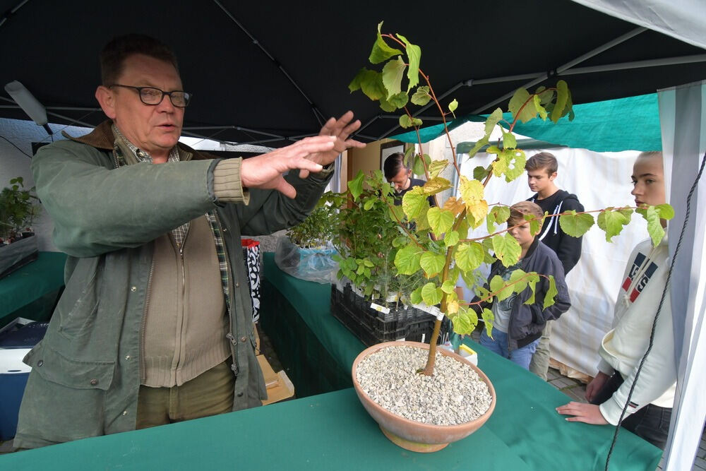Umbrisch Provenzalischer Markt Tübingen 2017