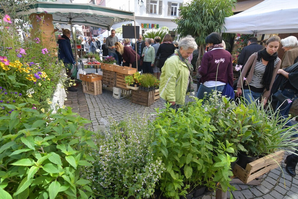 Umbrisch Provenzalischer Markt Tübingen 2017