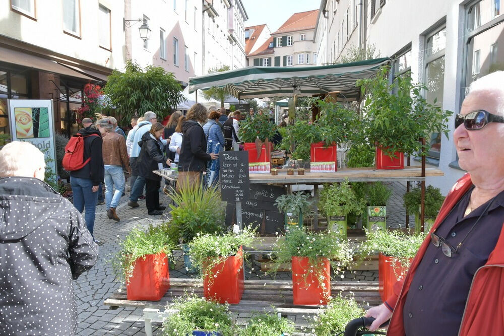 Umbrisch Provenzalischer Markt Tübingen 2017