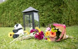 Blumen liegen nach einem Familiendrama mit drei Toten in Villingendorf vor dem Tatort.