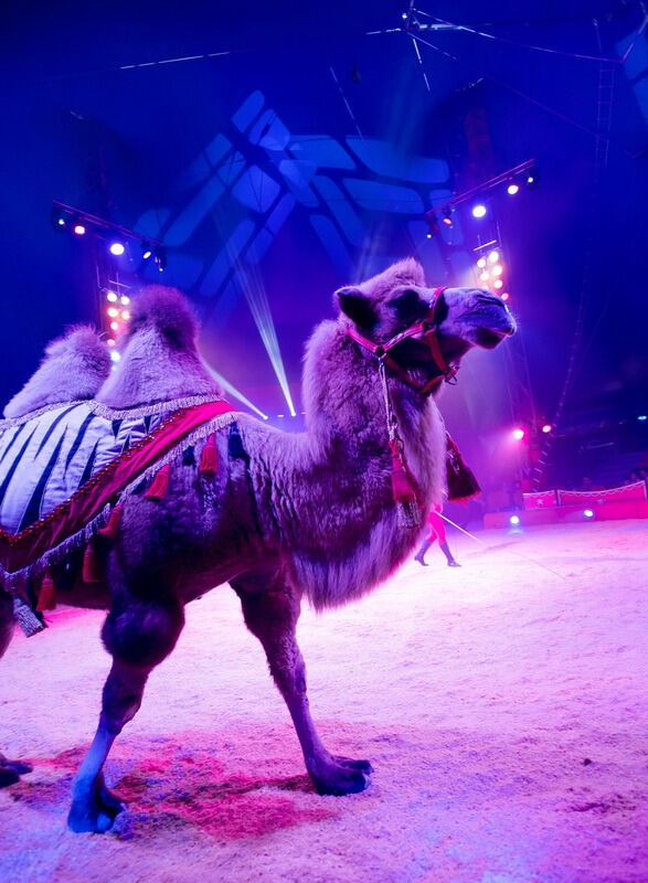 Zirkus Charles Knie Reutlingen September 2017