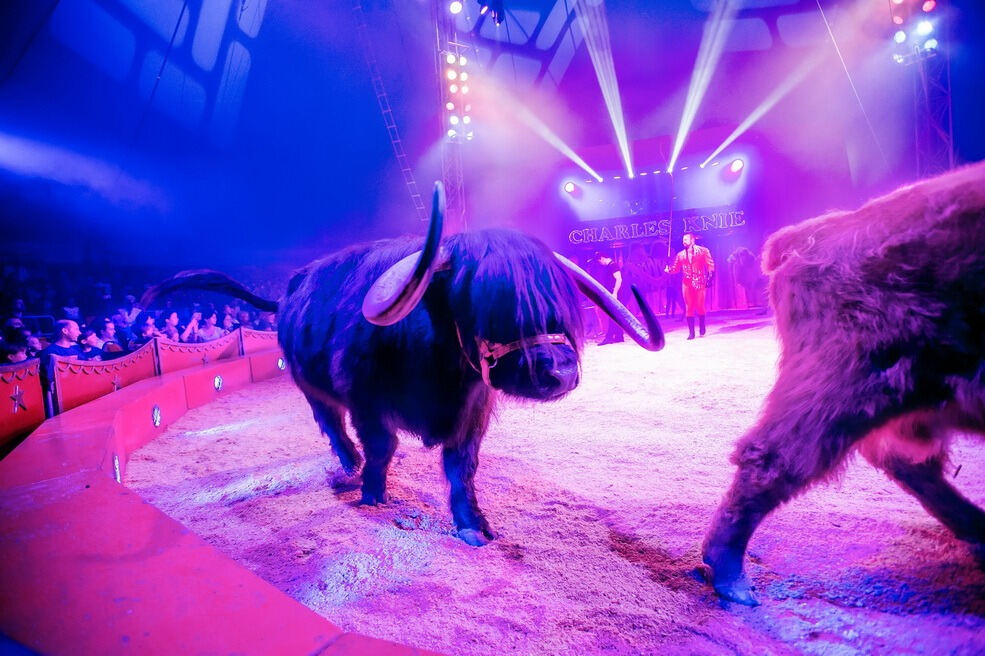 Zirkus Charles Knie Reutlingen September 2017