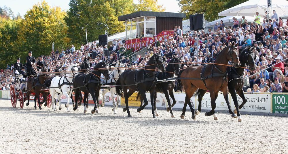 Marbach Hengstparade September 2017