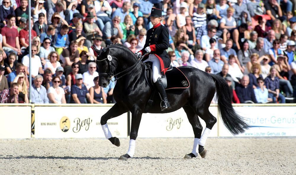 Marbach Hengstparade September 2017