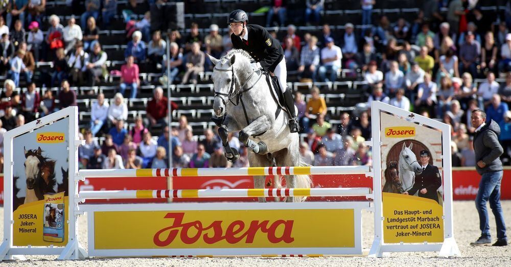 Marbach Hengstparade September 2017