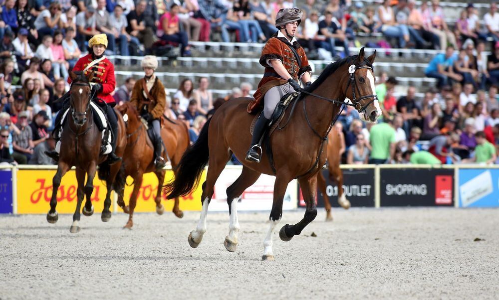 Marbach Hengstparade September 2017