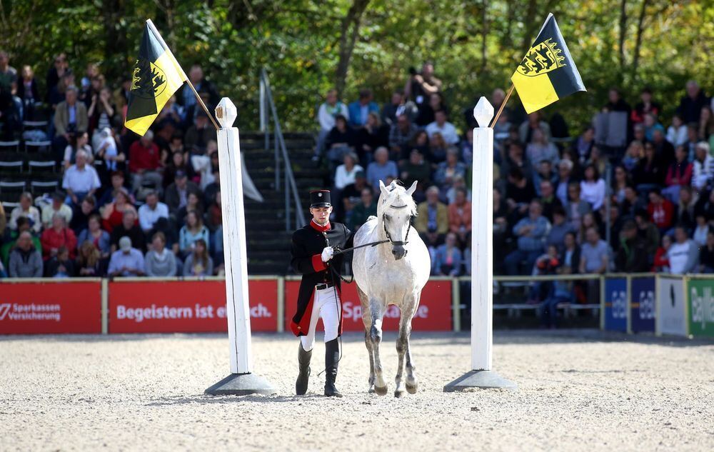 Marbach Hengstparade September 2017