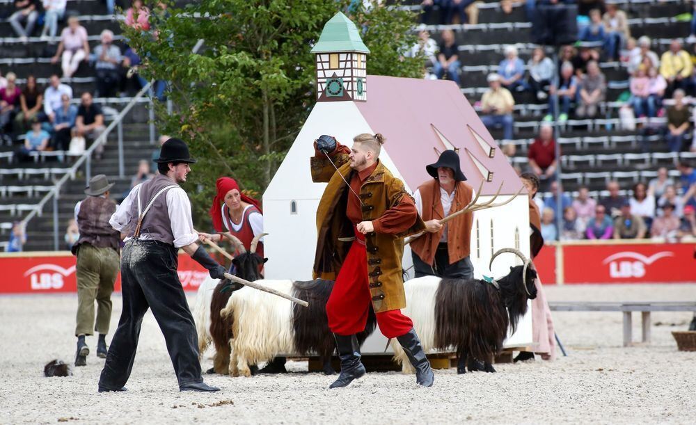 Marbach Hengstparade September 2017