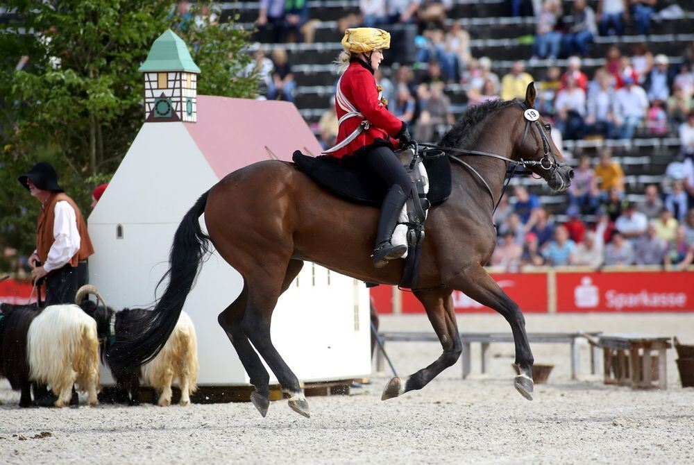 Marbach Hengstparade September 2017