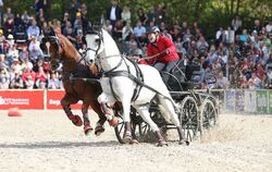 Angefeuert vom Publikum jagte Catherine Acker mit Beifahrer Jochen Tress und den Pferden Sandor und Sarolus beim Jump and Drive