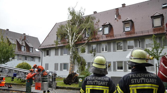 Die Feuerwehr ist in Stuttgart im Einsatz, nachdem eine große Birke auf ein Hausdach krachte.
