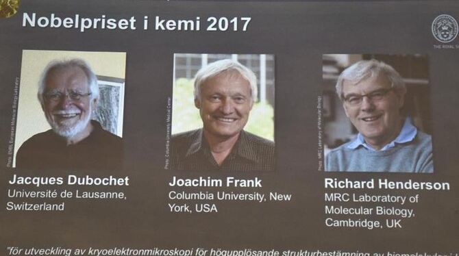 Der Nobelpreis für Chemie geht an Jacques Dubochet, Joachim Frank und Richard Henderson. Foto: Claudio Bresciani