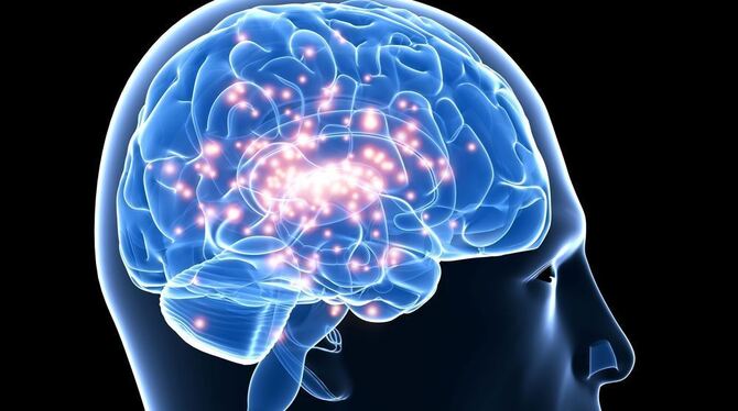 Zeitgleiche Entladungen ganzer Nervenzellverbände führen zu   Anfällen.