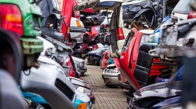 Mehr als 25 Automarken werben mit sogenannten Umweltprämien. Foto: Jens Büttner