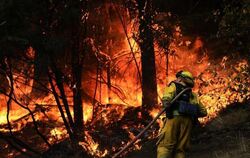 Brandherd in Calistoga: Die Zahl der Toten bei den verheerenden Bränden in Nordkalifornien steigt weiter. Foto: Jae C. Hong