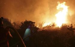 Waldbrand bei Obidos in Portugal: Die seit Monaten anhaltende Trockenheit und starke Winde begünstigen in vielen Gebieten der