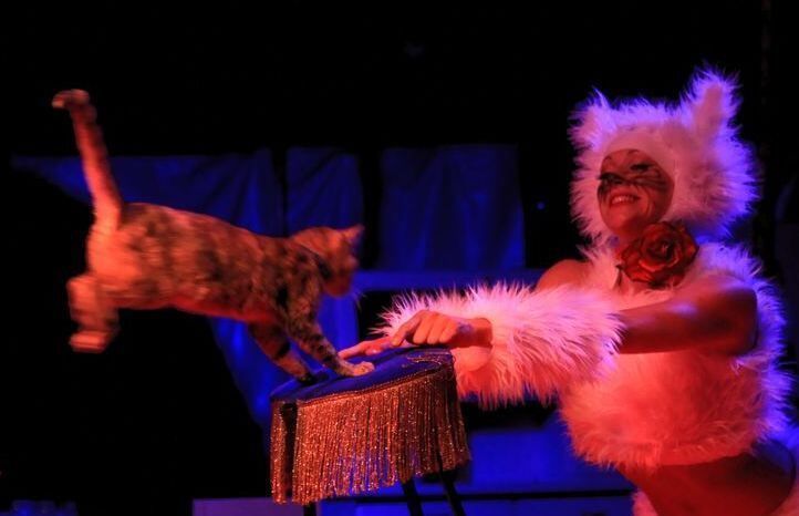 Das Traumtheater Neuhausen 2017