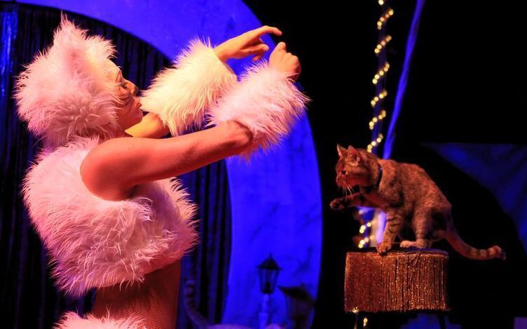 Das Traumtheater Neuhausen 2017