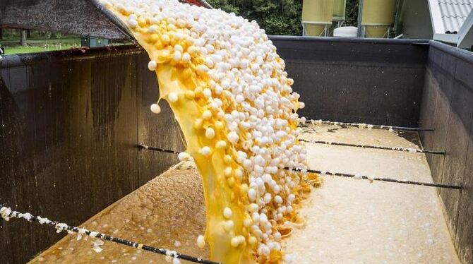 Im Auftrag der niederländischen Lebensmittelkontrollbehörde NVWA wurden rund eine Million Eier aus einer Geflügelfarm in Onst