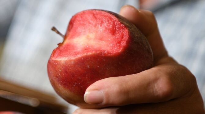 Ein rotfleischiger Apfel. Die Sorte hat bislang noch keinen Namen. Foto: Felix Kästle/dpa