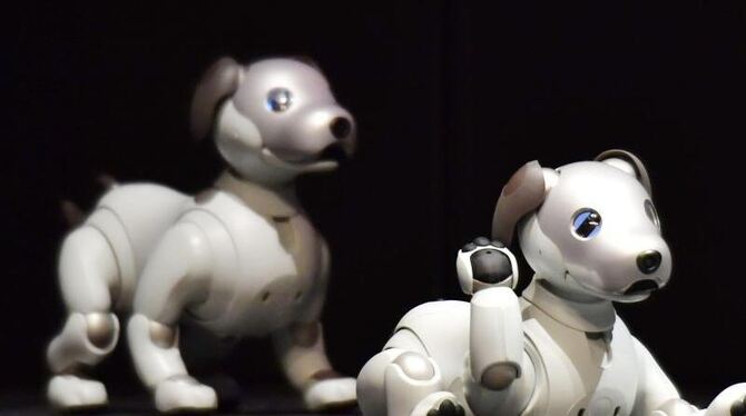 Die neue Version des Roboterhundes Aibo passt dank künstlicher Intelligenz sein Verhalten an die Reaktionen der Menschen an.