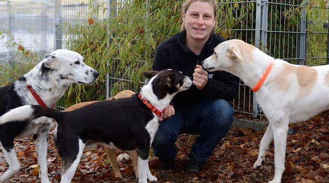 Nina Herzog kümmert sich um die Hunde im Tierheim Reutlingen.