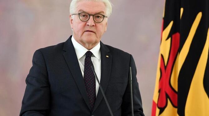 Bundespräsident Frank-Walter Steinmeier.