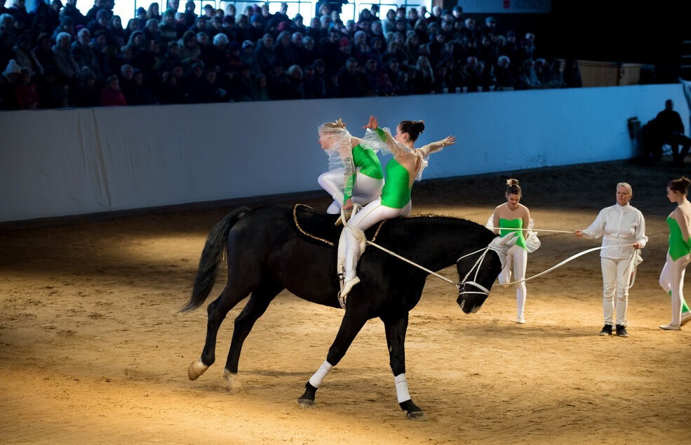 Lebendige Bilder zur Weihnacht Marbach 2017