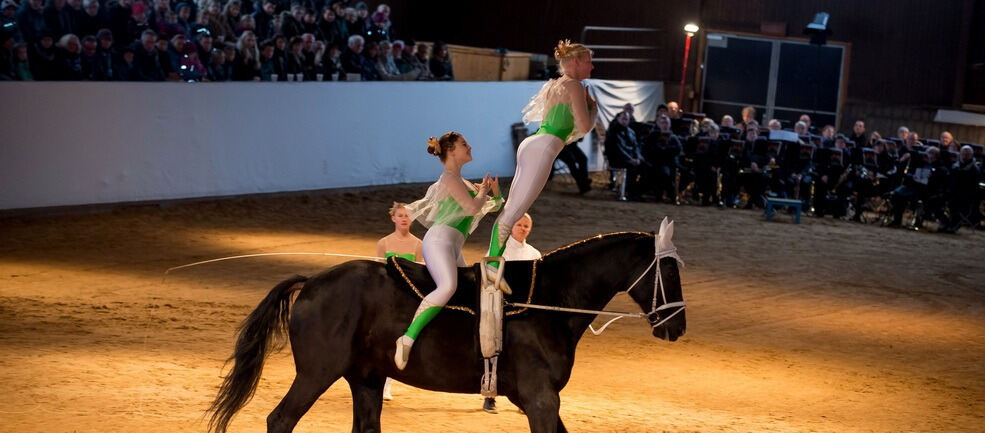 Lebendige Bilder zur Weihnacht Marbach 2017