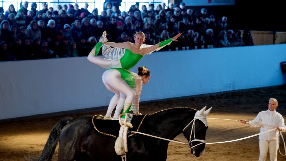 Lebendige Bilder zur Weihnacht Marbach 2017