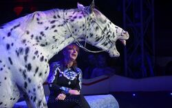 Weihnachtszirkus 2017