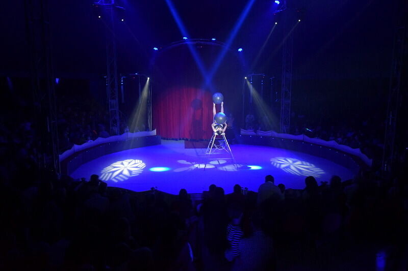 Premiere des 15. Reutlinger »Weihnachtscirus«