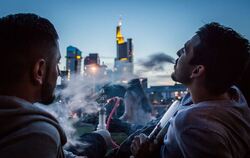 Zwei junge Männer rauchen ihre Shisha-Pfeife auf einer Wiese am Mainufer in Frankfurt.