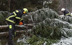 Ein Feuerwehrmann zersägt auf der B500 am Feldberg im Schwarzwald  einen umgestürzten Baum.