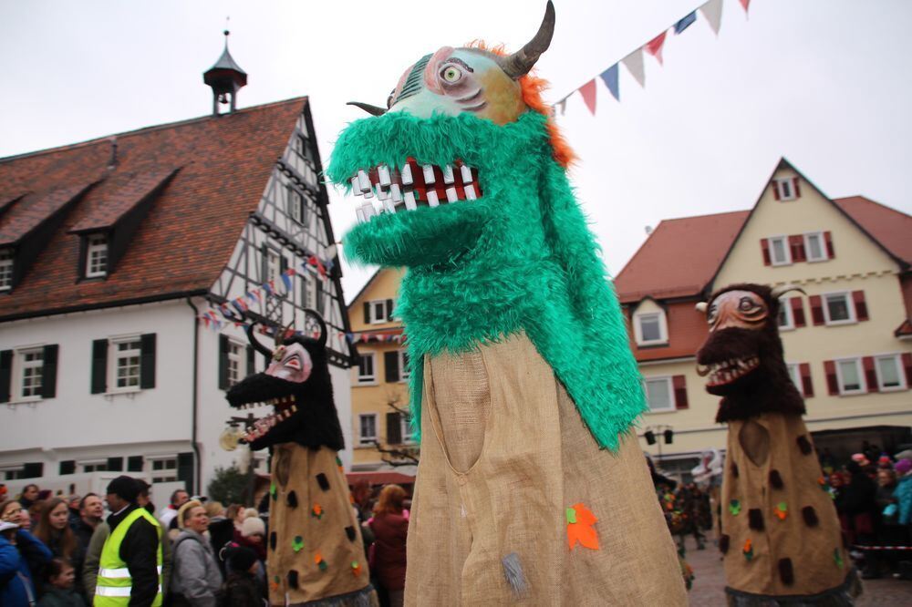 Narrenumzug der Uschlaberghexa in Pfullingen 2018