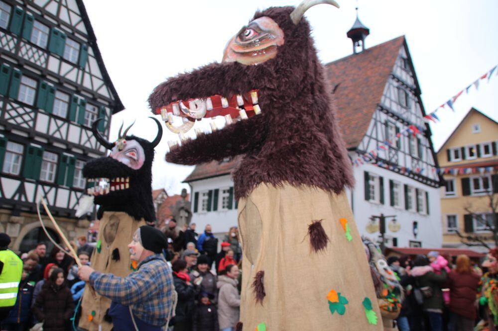 Narrenumzug der Uschlaberghexa in Pfullingen 2018