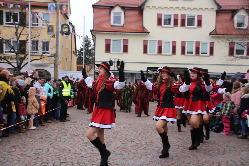 Narrenumzug der Uschlaberghexa in Pfullingen 2018