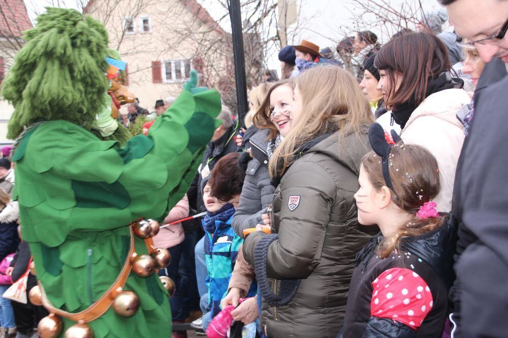 Narrenumzug der Uschlaberghexa in Pfullingen 2018