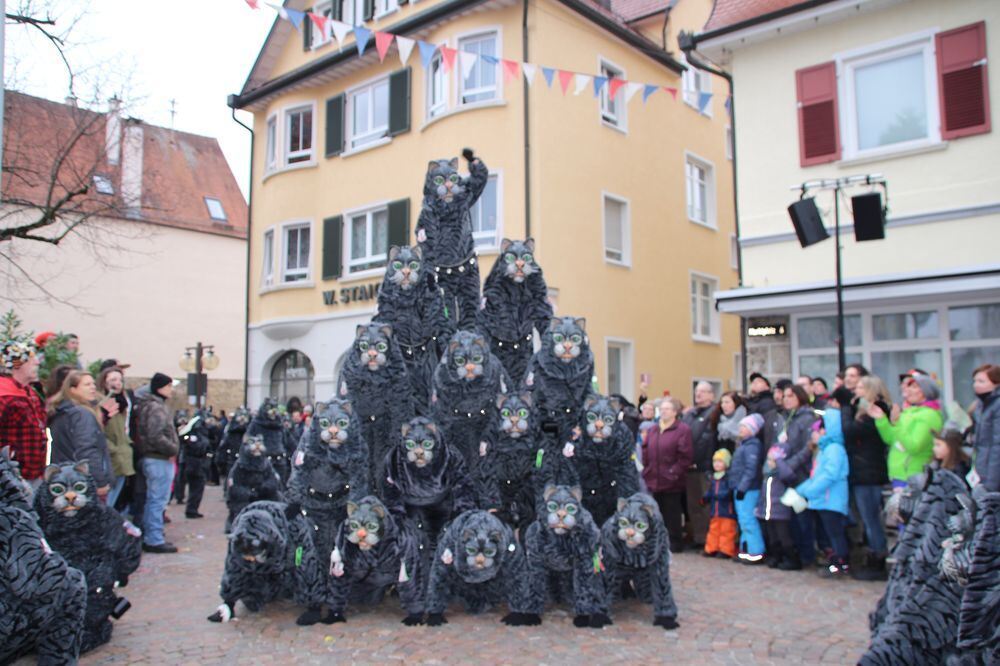 narrenumzug der uschlaberghexa pfullingen 2018_65