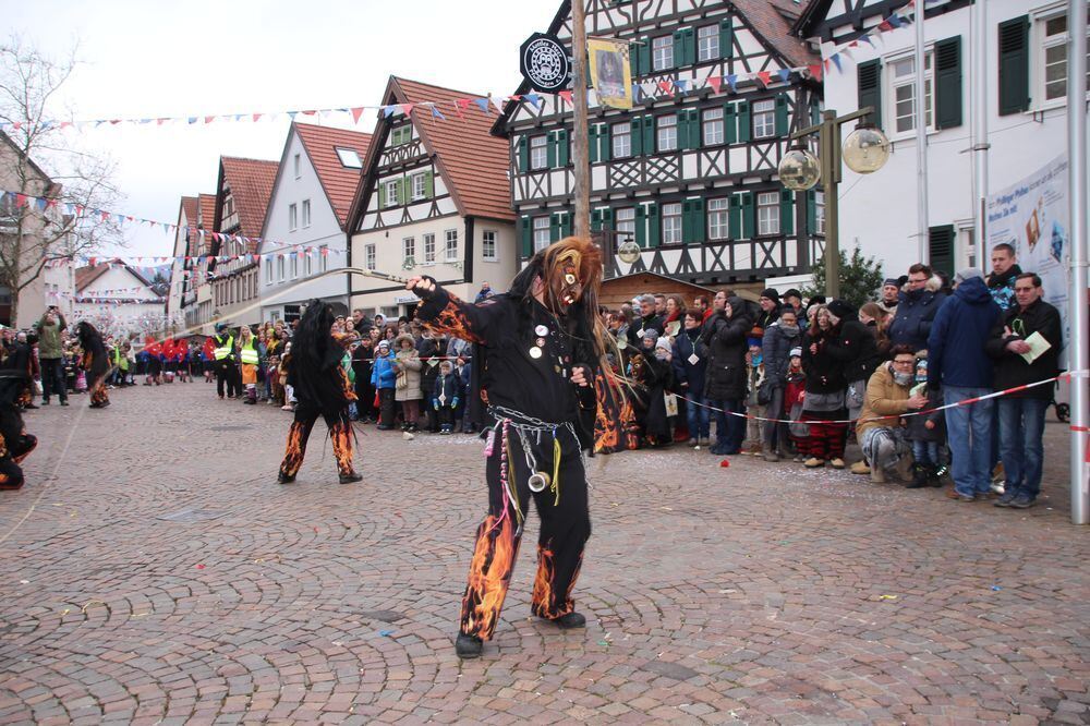 Narrenumzug der Uschlaberghexa in Pfullingen 2018