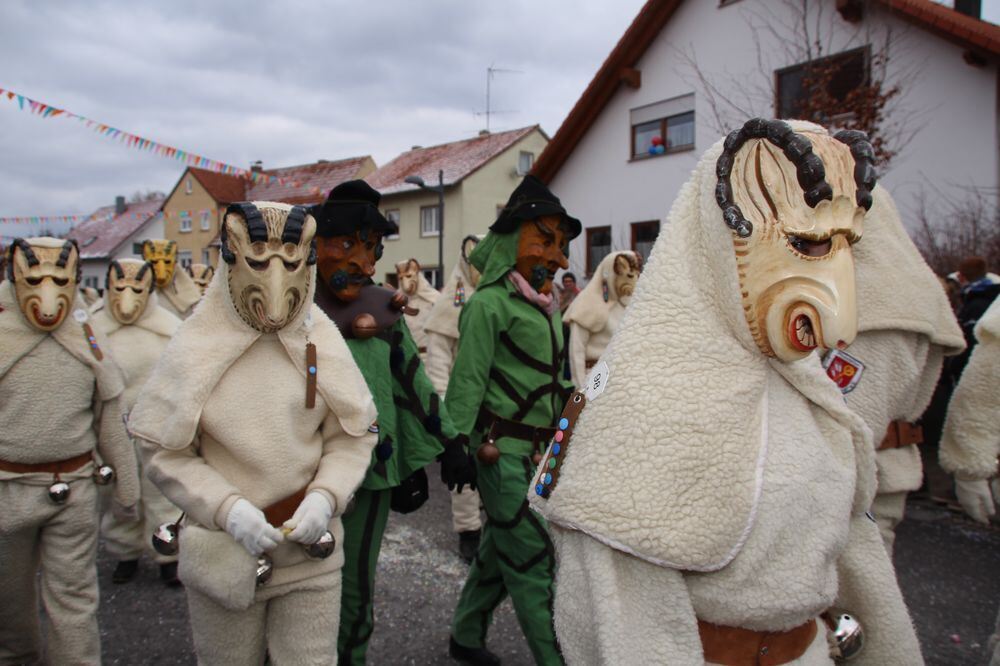 Narrenumzug in Hohenstein-Oberstetten 2018