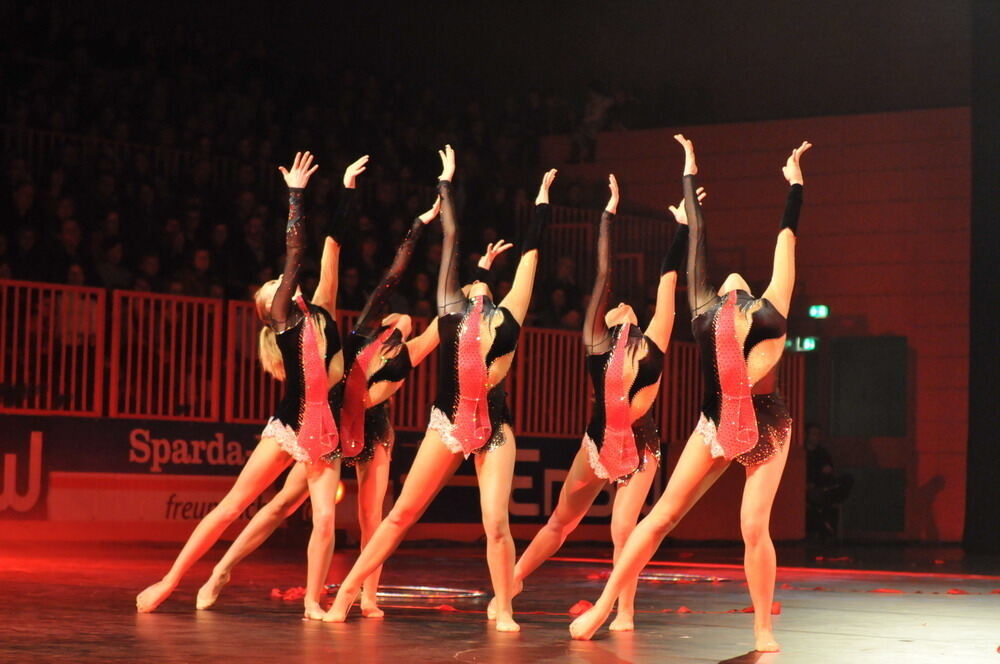 Turngala Tübingen 2009