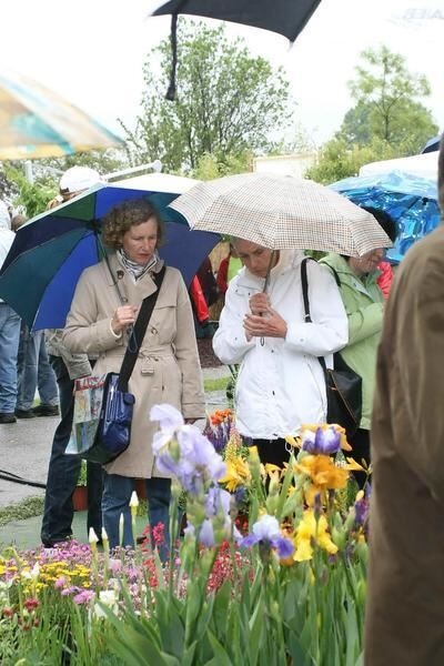 reisner_gardenlife_reutlingen_2007_7 (jpg)